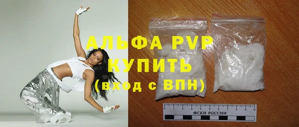 ГАЛЛЮЦИНОГЕННЫЕ ГРИБЫ Инсар