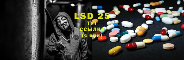 спайс Инта