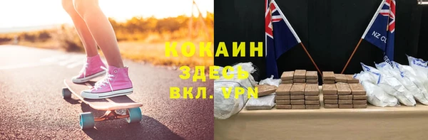ГАЛЛЮЦИНОГЕННЫЕ ГРИБЫ Инсар