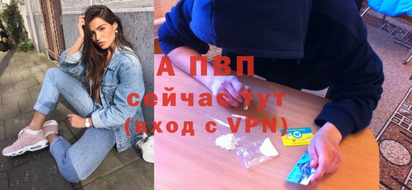 ГАЛЛЮЦИНОГЕННЫЕ ГРИБЫ Инсар