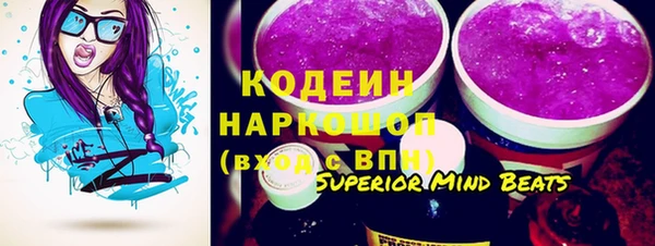 ГАЛЛЮЦИНОГЕННЫЕ ГРИБЫ Инсар