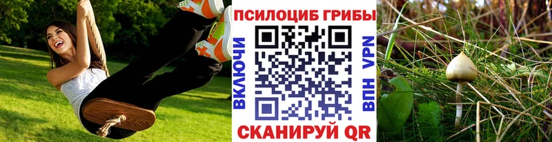 Купить где  Волхов  Галлюциногенные грибы прущие грибы 